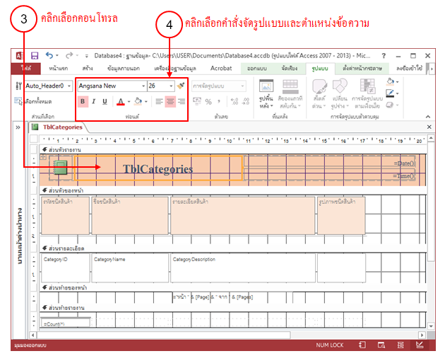 การตกแต่งฟอร์ม และรายงาน